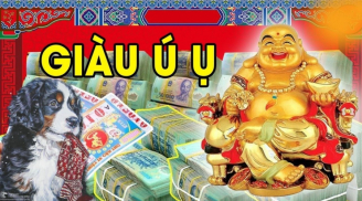 Hưởng Lộc Đức Ông cuối tháng 12: 3 tuổi đố ai sướng bằng