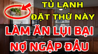 Nóc tủ lạnh đặt 4 thứ Tiền chẳng mọc cánh mà tự bay