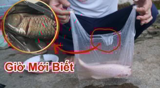 Vì sao người bán thường để cá trong túi bóng đen?