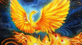 Tiền Rải Kín Nhà: 3 con giáp từ gà hoá Phượng