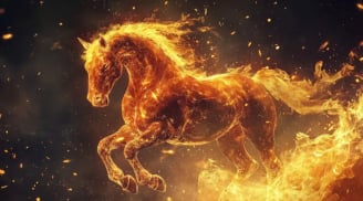 4 tuổi cứ ngồi 1 chỗ nghèo nàn, càng đi càng dễ kiếm to