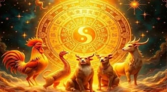 Hợp Vía Buôn Đất: 3 con giáp giàu có phất lên