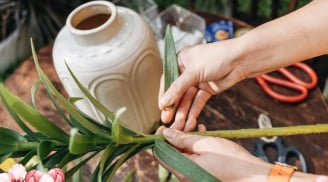 Mẹo cắm hoa cứng cáp, thơm ngào ngạt 1 tuần vẫn tươi như mới