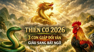 3 tuổi buôn bán mới giàu, Tiền nhân gấp bội trong năm Bính Ngọ