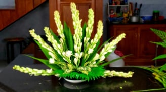 4 loài hoa Tụ Cát Khí - Giữ Phúc Lành, tết cắm trong nhà là lộc đến