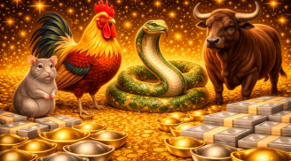 Tay Trắng Dựng Cơ Đồ: 3 tuổi Tiền Tài đến tay, từ nay hết nghèo