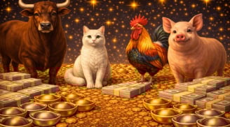 Từ 4/2 đến 10/2, 3 con giáp phúc Tài kéo đến, hả hê hưởng Tiền