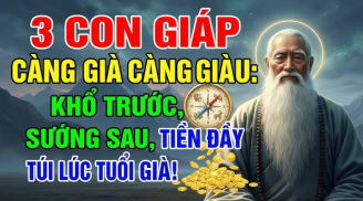 Về Già Mới Sướng, 3 con giáp tuổi trẻ bôn ba, sao 50 Tiền Tài đầy đủ
