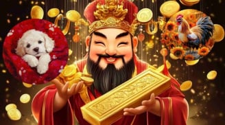 Hưởng Sái Lộc Quan (2026-2028): 3 con giáp Nhân Đôi tiền tài