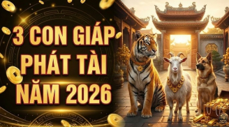 3 con giáp hưởng ké phúc nhà chồng, số sướng ngồi trên đống Tiền