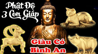 Nương Phật mà hành: 3 con giáp nạn qua - phúc đến - Lộc đầy