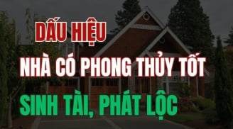 4 dấu hiêu nhà sắp thay đổi vận khí chuyển mình rực rỡ: Giàu có tiền vào như nước