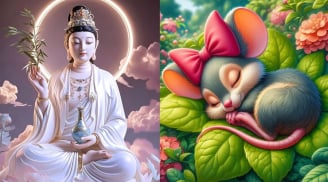 3 con giáp Hữu Duyên Cửa Phật, Hoạ qua - Phúc đến đầy nhà