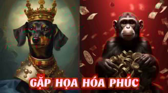 Qua 9/3/2026: 3 con giáp phúc phần ngang Thiên Tử, tiền bạc tiêu thả ga