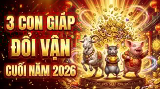 Khẩn Cầu Như Ý: 3 con giáp chỉ chờ cuối năm đổi vận