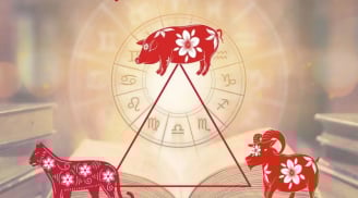 Những cặp đôi con giáp cứ hợp tác là Sinh Tài – Sinh Phúc, buôn bán lãi to