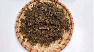 Phơi khô lá đinh năng rồi đun nước uống, 3 ngày sau thấy ngay điều kì diệu