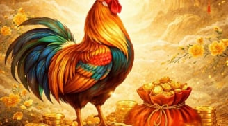 3 con giáp Mở Sổ thần Tài, gom hết vận may 3 ngày đầu tháng 4/2026