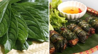 Loại lá cuốn chả thơm ngon gấp 3 lần lá lốt, bổ từ trong ra ngoài