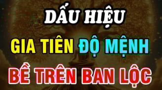 4 dấu hiệu Tổ Tiên linh ứng, độ mệnh con cháu dễ phất như Rồng
