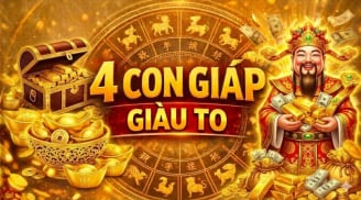 Ăn Lộc Thánh Cho, 4 con giáp No Ấm, rủng rỉnh ăn tiêu tháng 5/2026