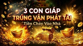 3 con giáp Trời Ban phúc lớn, hạn qua - Tiền về
