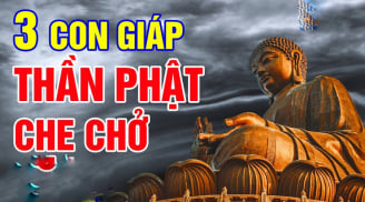 Khổ nạn đi qua, 3 con giáp dựa hơi cửa Phật, viên mãn đến già