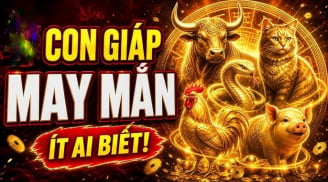 Sổ Vàng thần Tài đưa, 3 con giáp nhận cơn mưa Tiền về