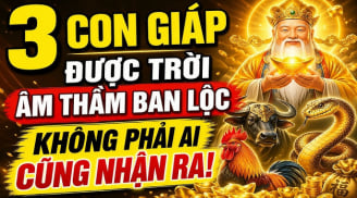 3 con giáp khéo lo cả đời no ấm, 1 tuổi Tiền chảy về đều
