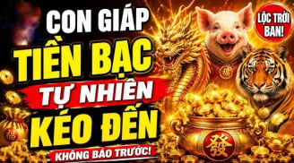 4 con giáp giàu nứt đố đổ vách, thu Lộc tứ phương từ 24/5 đến 1/6