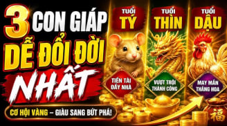 5 năm liền (2026-2031), 3 con giáp Trúng Mánh cực to