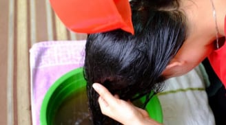 3 loại lá gội đầu hết gàu, tóc bóng mượt