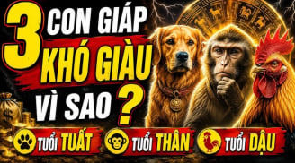 3 con giáp nặng gánh Tiền Tài, 1 tuổi ung dung Lộc tự đến