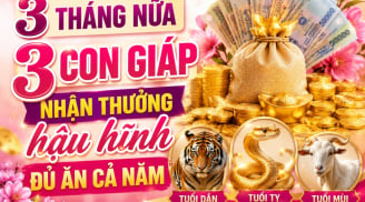 3 tháng nữa, 3 con giáp nhận thưởng hậu hĩnh đủ ăn cả năm