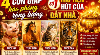 4 con giáp hào phóng rộng lượng, số 1 thu Tiền hút của đầy nhà