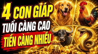 4 con giáp tuổi càng cao Tiền càng nhiều, số 1 thêm Lộc từ con cái