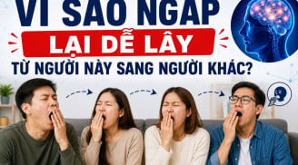 Vì sao ngáp lại dễ lây từ người này sang người khác?