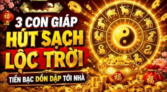 3 tháng tới: 3 con giáp cần cù Trời bù Phúc - Lộc cho