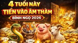 4 con giáp ăn ở hiền Tiền âm thầm tìm đến