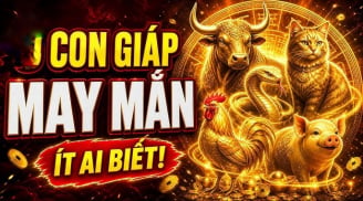 Đức năng thắng số, 4 con giáp đầu tháng 7 Trời định phải Giàu