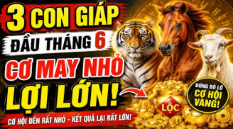 3 con giáp thuận đường làm ăn, Tiền dễ sinh lời sau 8/6