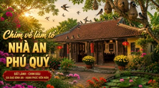 Ngôi nhà có 3 dấu hiệu này càng ở càng giàu có: được trả bao nhiêu tiền cũng đừng bán