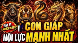 4 con giáp Khởi Nghiệp Gian Nan về sau thu Lộc càng đậm