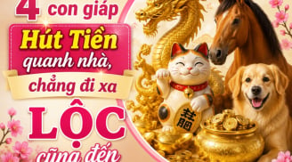4 con giáp Hút Tiền quanh nhà, chẳng đi xa Lộc cũng đến