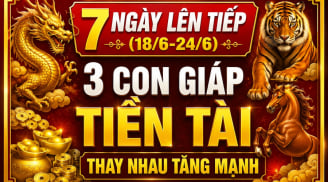 7 ngày lên tiếp (18/6-24/6), 3 con giáp Tiền Tài thay nhau tăng mạnh
