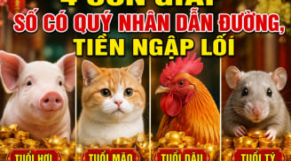 4 con giáp số có Quý Nhân dẫn đường, Tiền ngập lối