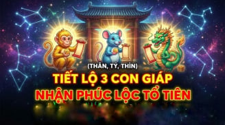 3 con giáp Tổ Tiên tích phúc lại cho, 3 năm tới no nê hưởng