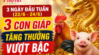 3 ngày đầu tuần (22/6-24/6), 3 con giáp tăng thưởng vượt bậc