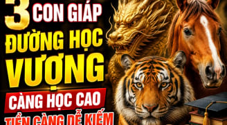 3 con giáp đường Học vượng, càng học cao Tiền càng dễ kiếm