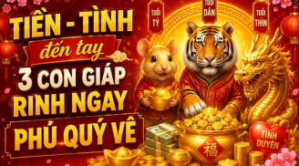 Tiền - Tình đến tay, 3 con giáp rinh ngay phú quý về